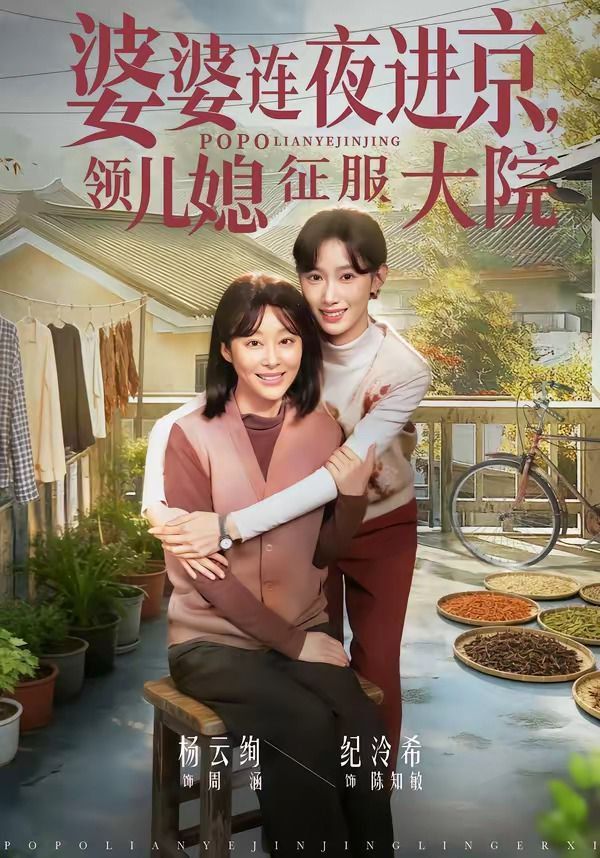 婆婆连夜进京，领儿媳征服大院