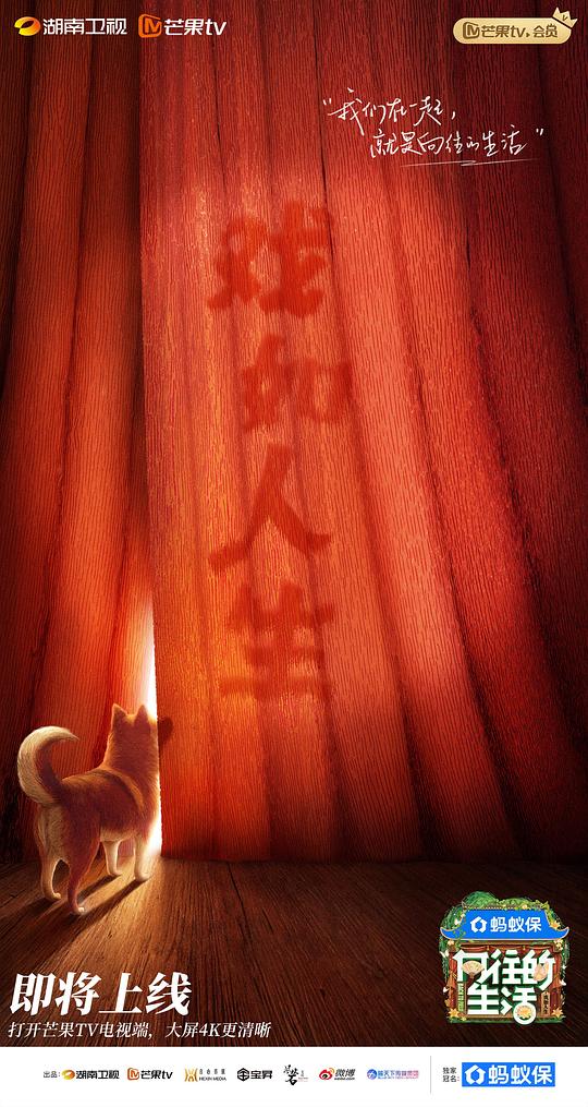 向住的生活 第八季