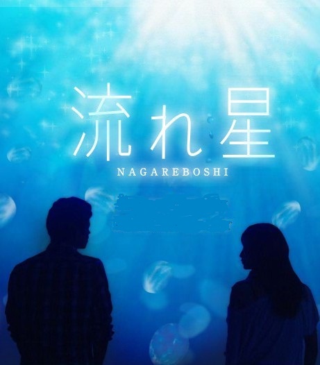 流星 日版