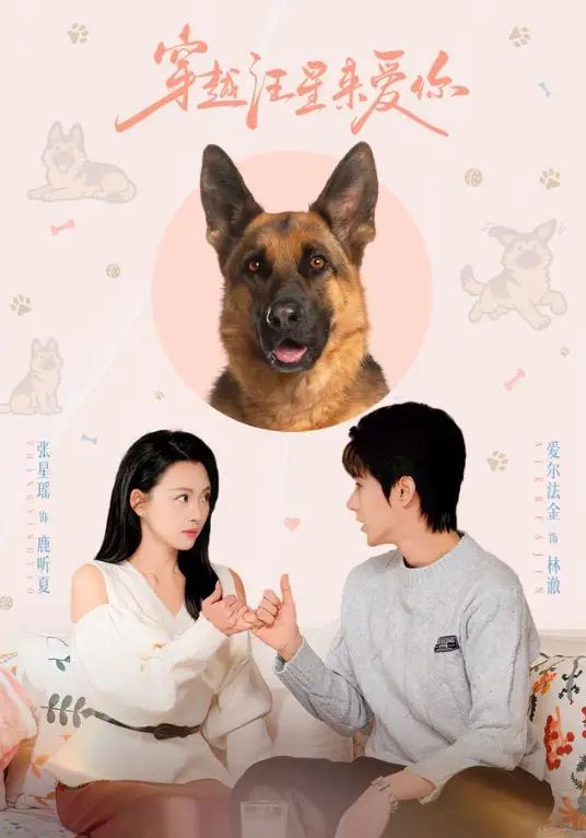 穿越汪星来爱你