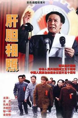 肝胆木目照
