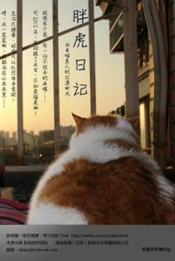 胖虎日记