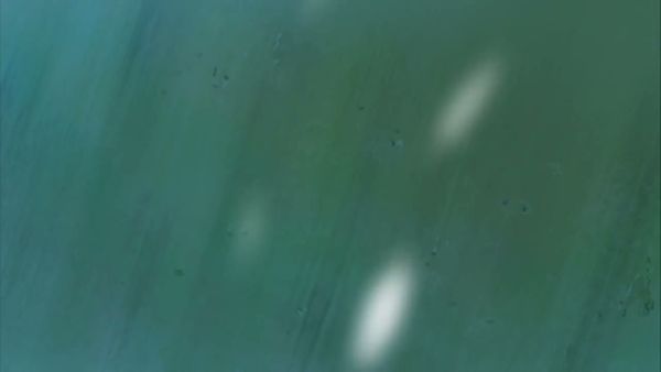 新网球王子 05